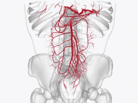 Hemorrhoidal Banding