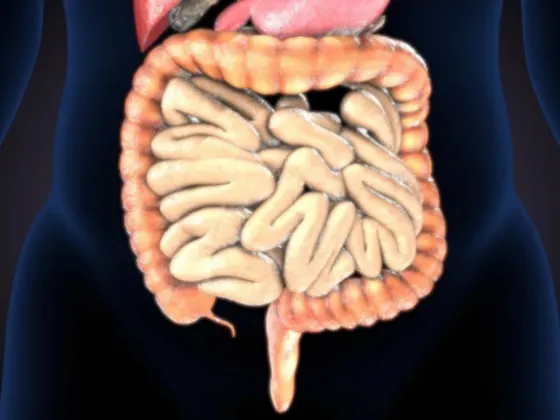 Sigmiodoscopy